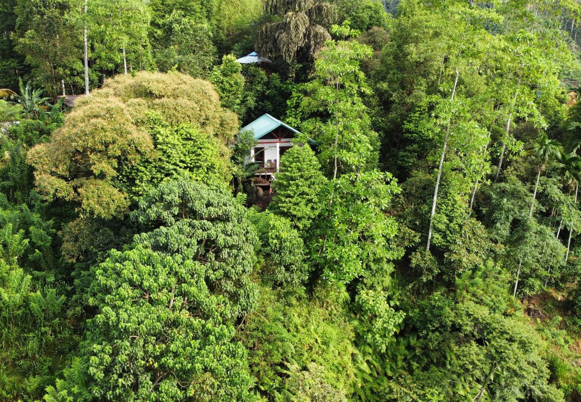 Sinharaja Rest Deniyaya Exterior foto